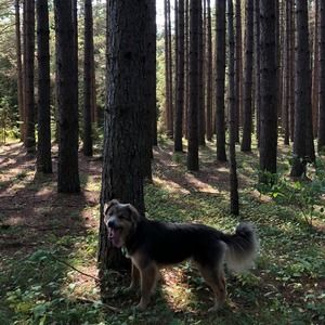 Meet your Posher, Al